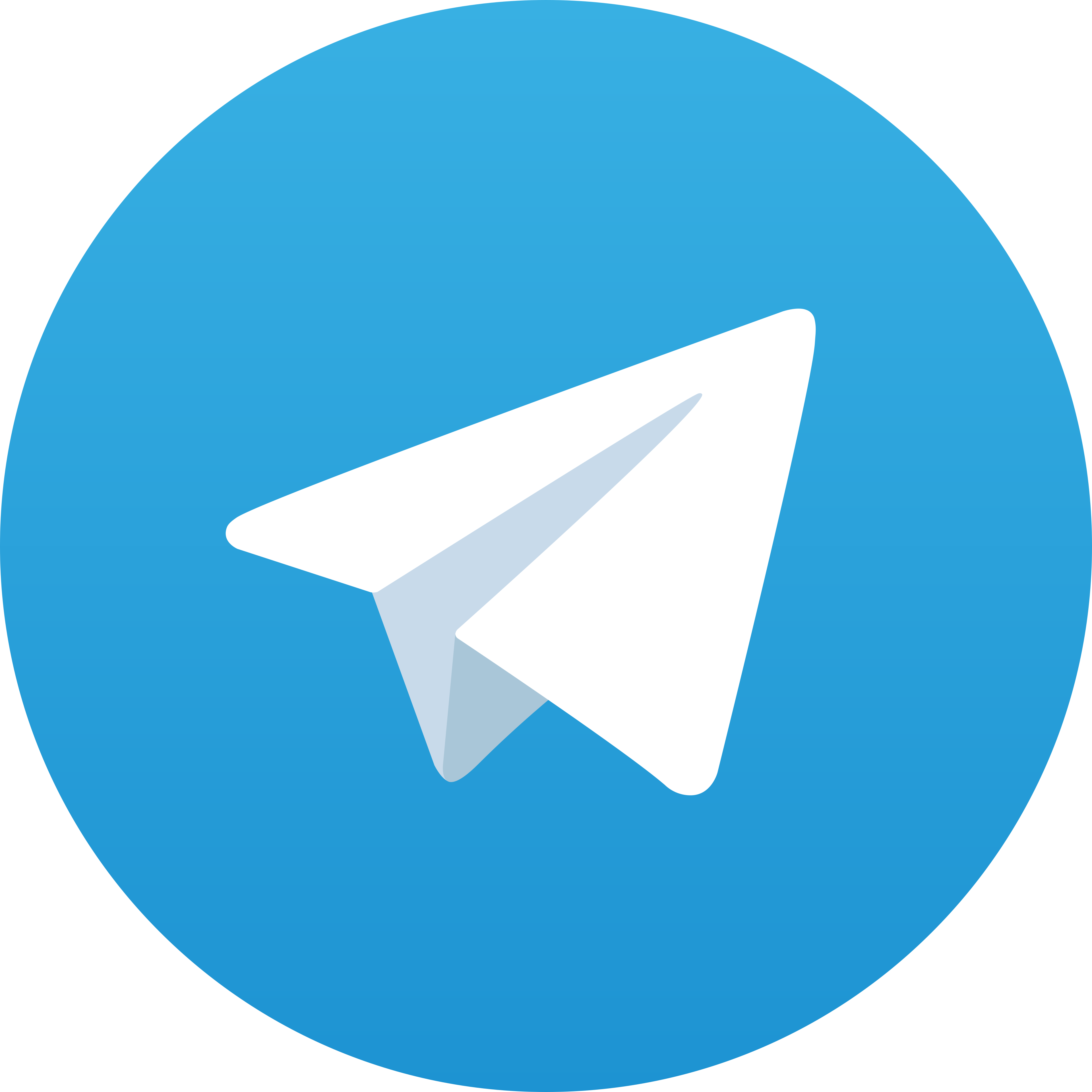 Telegram Ayubet
